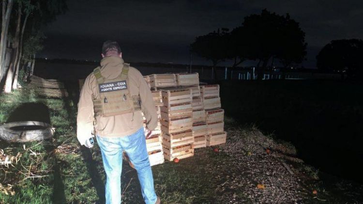 Incautan más de 7.000 kilos de tomate de contrabando en zona de Remansito