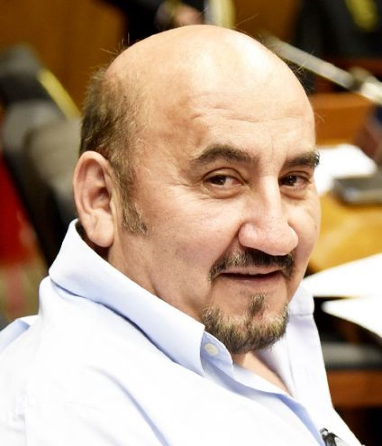 "Conozco la realidad de mis colegas (diputados] y estamos saltando en el da a da"