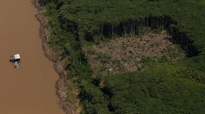 Encuentran ocho cadáveres en zona yanomami de Brasil