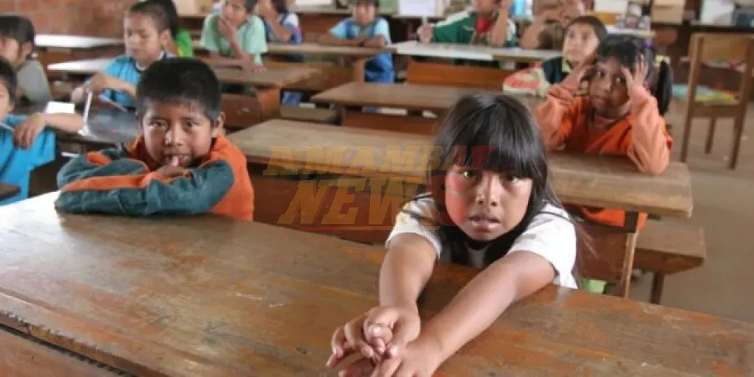 Alerta: 7 de cada 10 niños no terminan el colegio en el Chaco