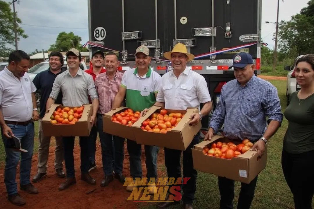 Después de 70 años, Paraguay vuelve a exportar tomates a la Argentina