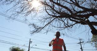 Máxima de 39ºC, con lluvias y tormentas al final del día
