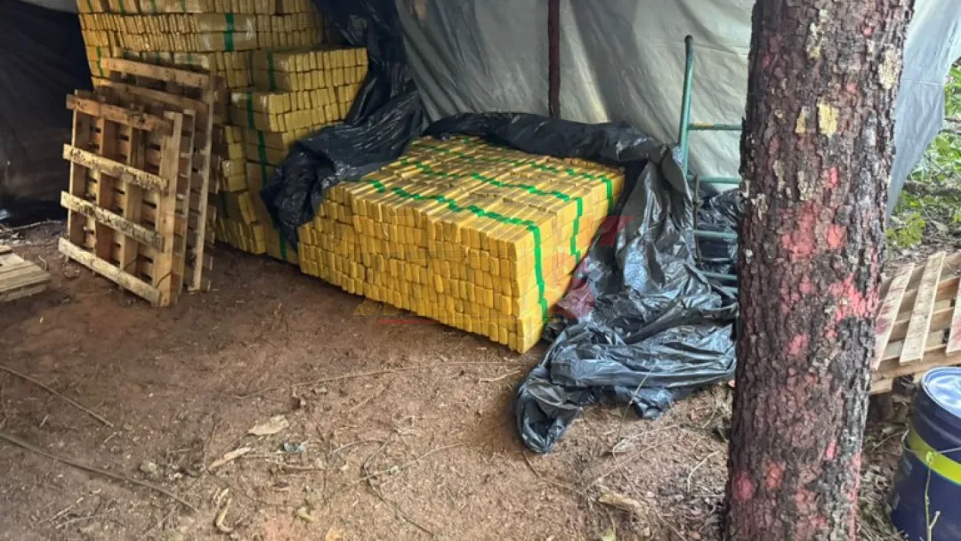 Policía brasileña se incauta de 8 toneladas de marihuana en estado fronterizo con Paraguay