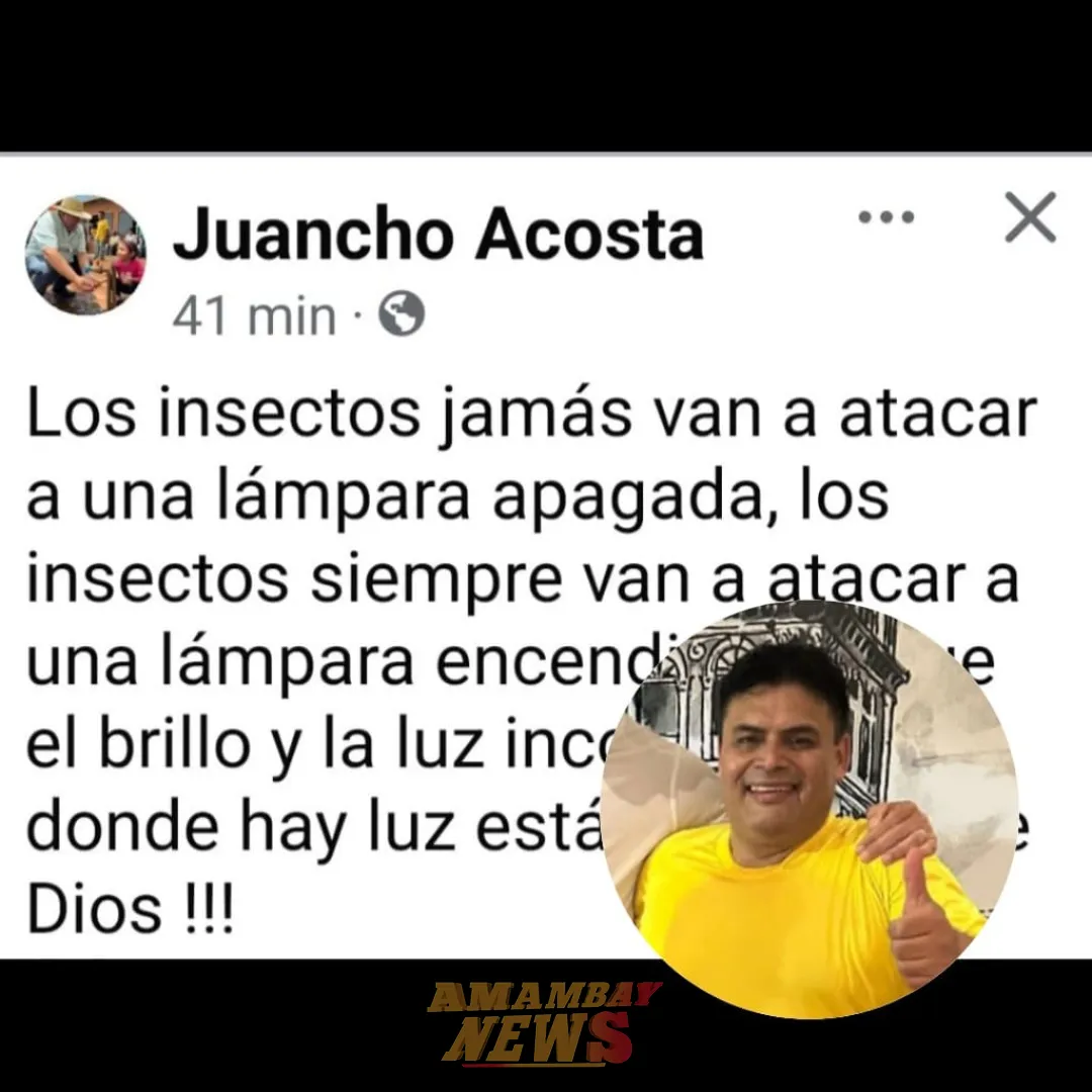 Juancho Acosta: Los insectos jamás van atacar a una lámpara apagada