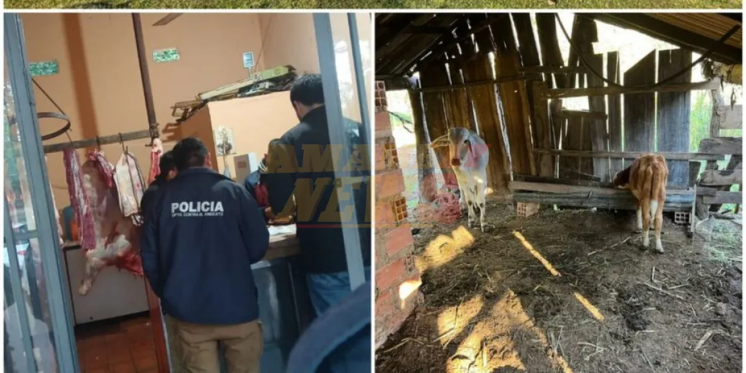 Allanan vivienda e incautan 26 animales vacunos de dudosa procedencia