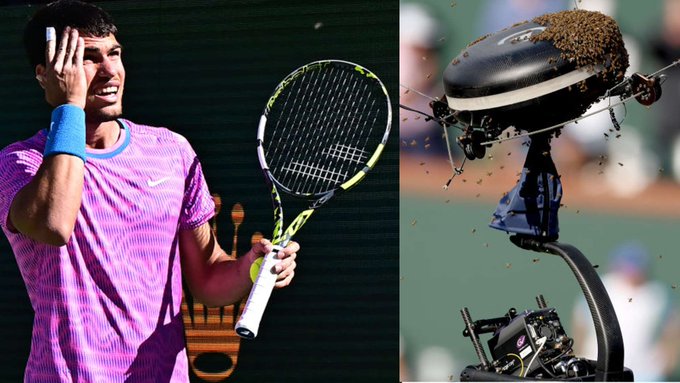 Una "invasión de abejas" obliga a suspender el partido entre Alcaraz y Zverev