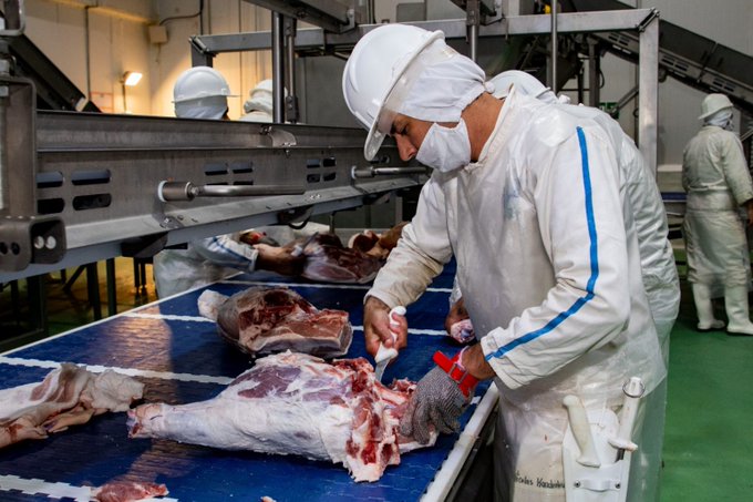 Taiwán se consolida como el primer destino de la carne porcina paraguaya