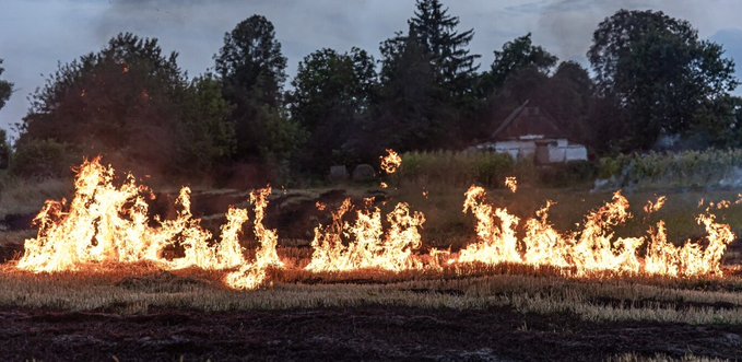 Ola de calor sumada a la irresponsabilidad generan los descontrolados incendios forestales