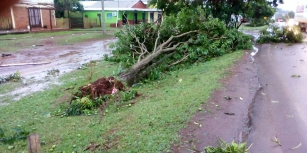 Temporal causa destrozos en colonia de Canindeyú