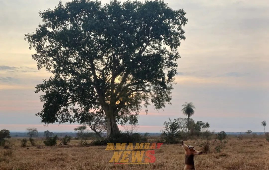 Colosos de la Tierra: más allá de una premiación, un llamado a la conciencia
