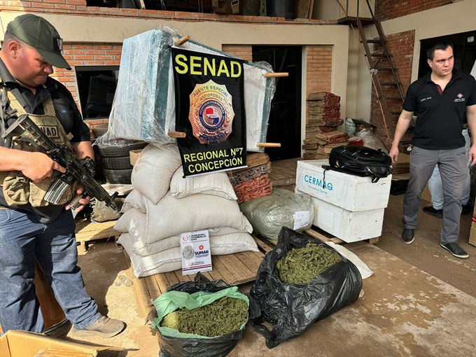 SENAD Incauta 8,700 Kg de marihuana en empresa de encomiendas en Concepción