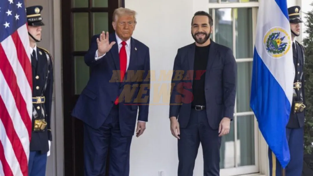 Bukele le dice a Trump que EEUU tiene un problema de terrorismo y El Salvador desea ayudar