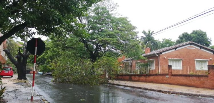 Temporal dejó más de Gs. 4.752 millones en daños para la ANDE