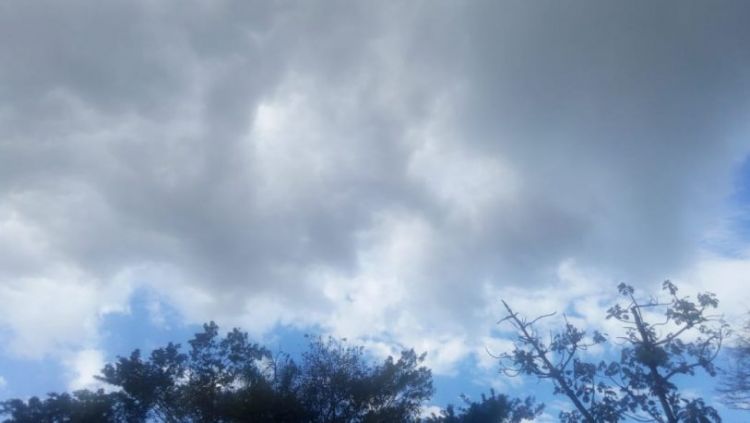 Meteorología pronostica clima caluroso y chaparrones para este martes