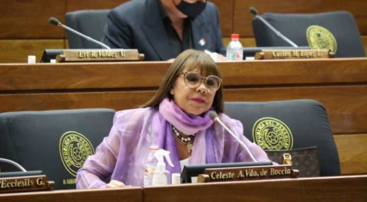 PLRA solicita a la Cámara de Diputados revocar sanción a Celeste Amarilla