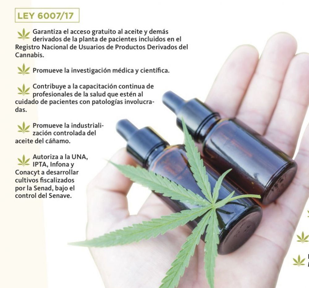 Cannabis medicinal: Apuesta a la salud y a la diversificación de la economía nacional