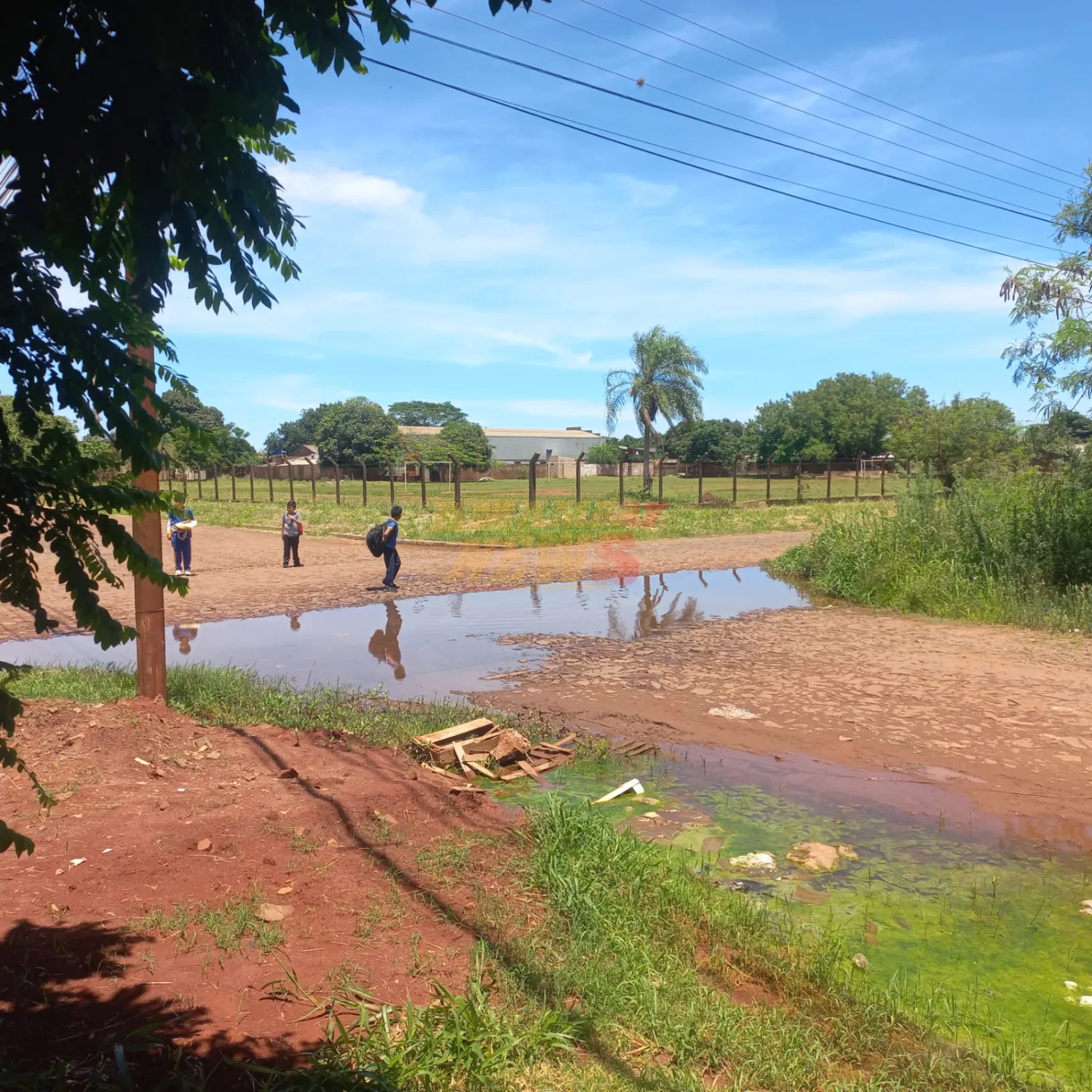 Caño roto de la ESSAP genera inundación en calles de Pedro Juan Caballero