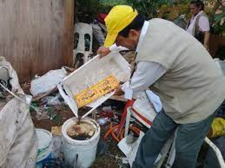 Dengue: Amambay en la zona roja con alto nivel de infestación