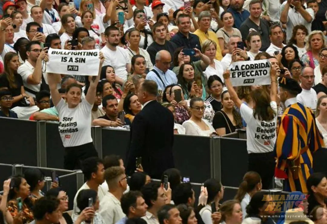Defensores de animales interrumpen audiencia del papa y piden fin de corridas de toros