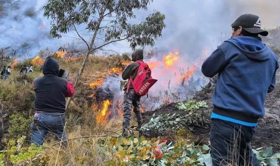 Al menos 14 muertos y cerca de 100 heridos por los incendios forestales en Perú