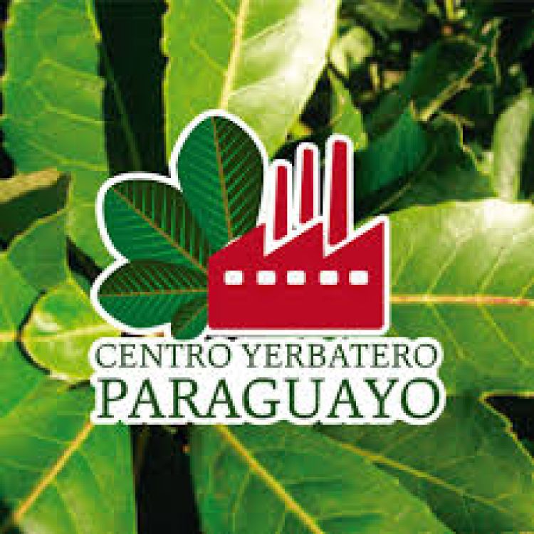 A yerbateros la pandemia no les golpea: aumentan 20 % producción y ventas