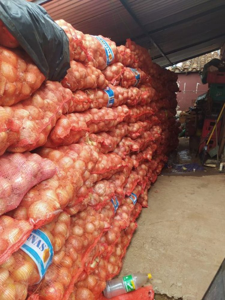 UIC incautó más de 50 toneladas de productos frutihortícolas