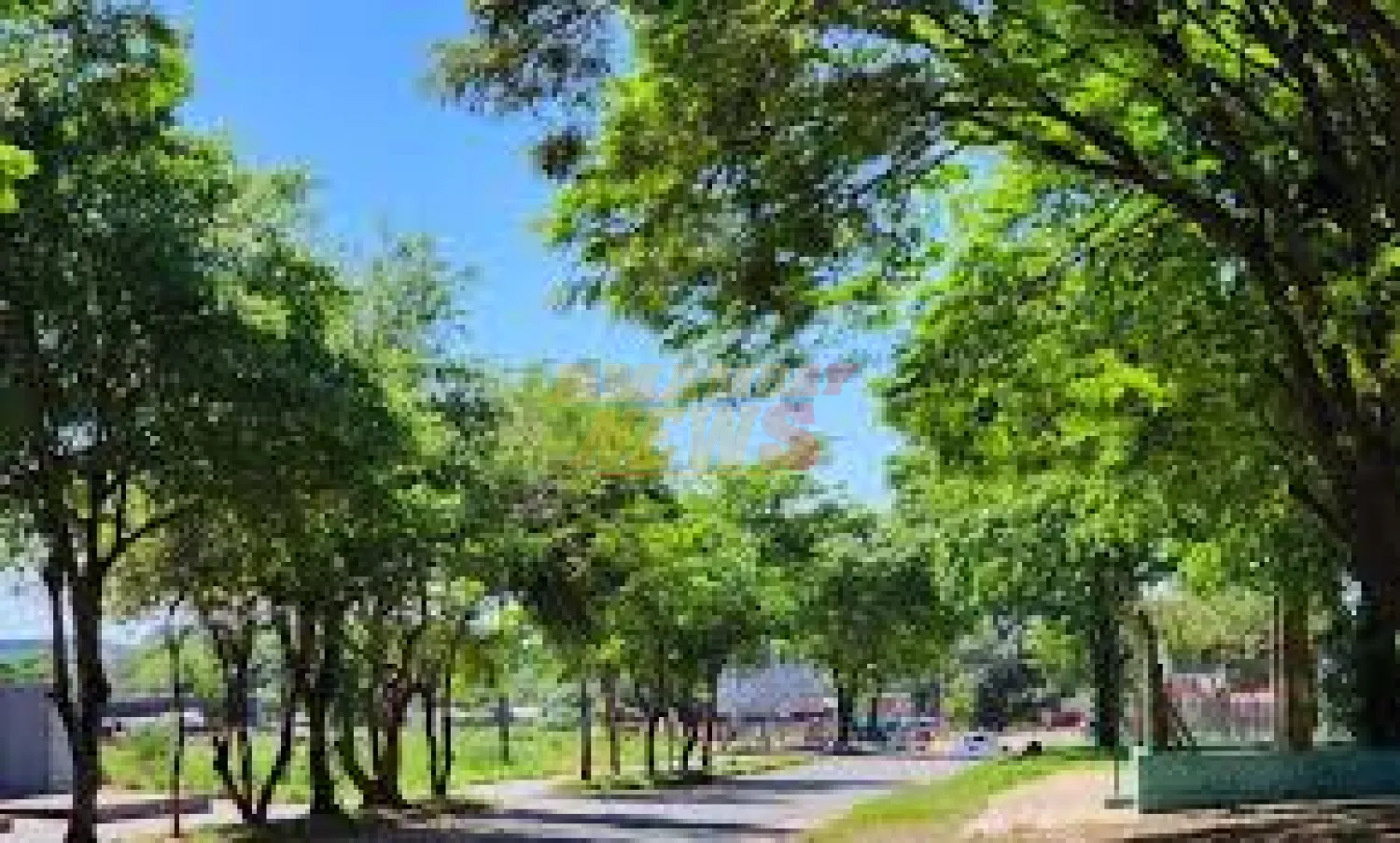 Ambiente fresco y luego cálido persistirá este domingo, con vientos del sureste