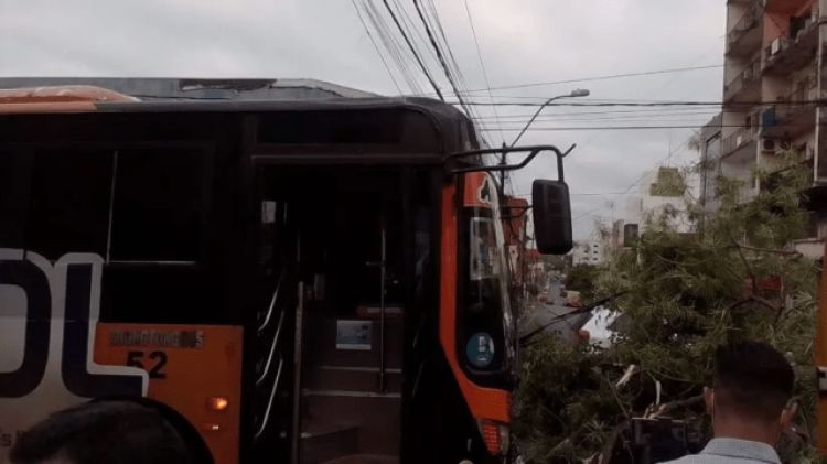 Bus pierde frenos y choca con un árbol en pleno microcentro de Asunción
