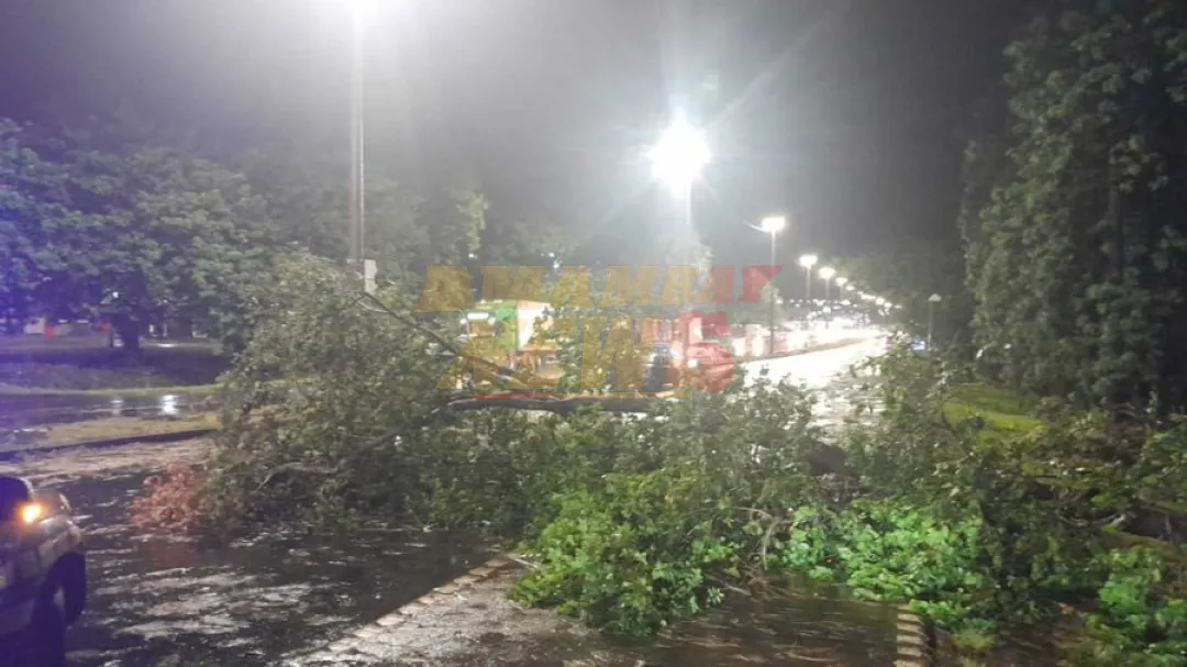 Feroz tormenta con granizos y caída de árboles afecta a Alto Paraná y Canindeyú
