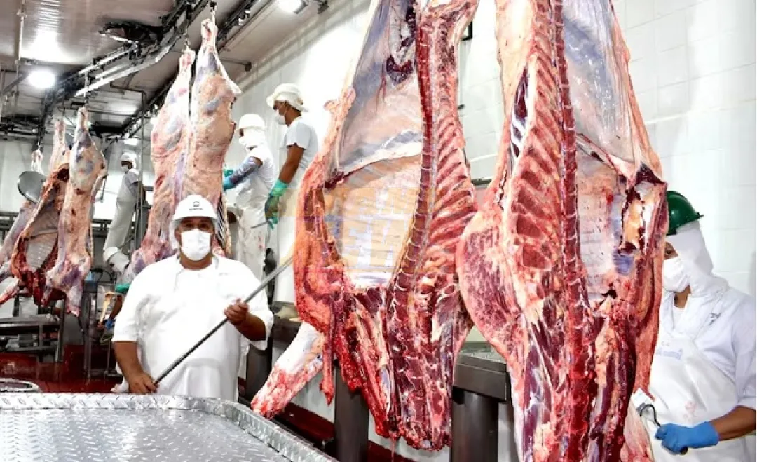Carne paraguaya cerca de ingresar al mercado mexicano