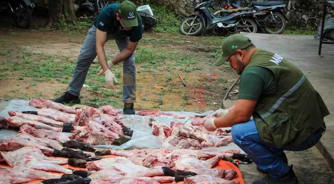 Detienen a cazadores ilegales con partes de animales silvestres en Benjamín Aceval