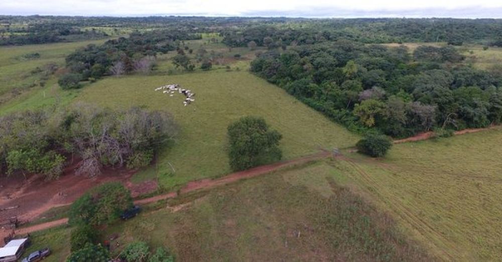 Estado Paraguayo toma posesión de estancia usada para el narcotráfico