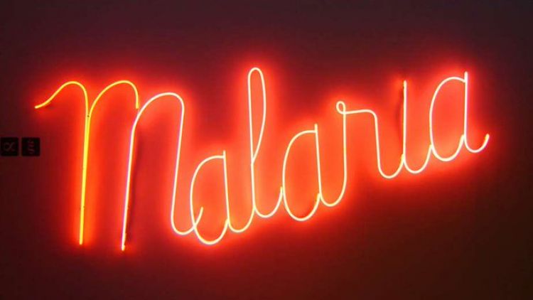 La invencible malaria continúa cobrándose vidas pese a una nuevea vacuna