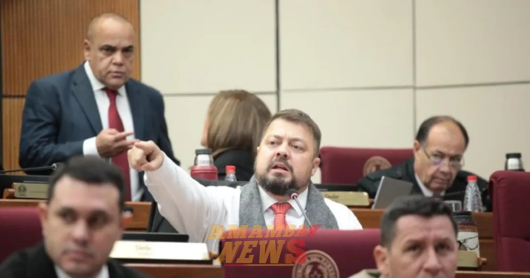 Soroka quiere que la comisión antilavado investigue el caso de Gomes y apunta contra la sesión de Bachi