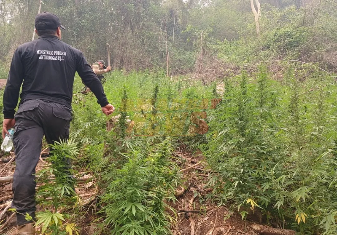 Operativo «SIDEPAR»: SENAD asesta fuerte golpe al narcotráfico