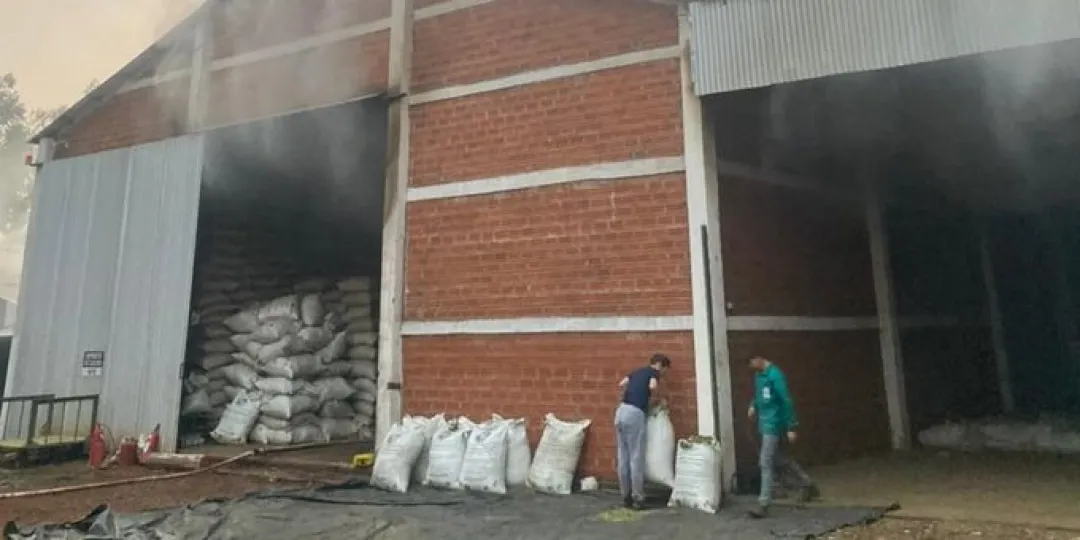Incendio afectó yerbatera en Itapúa y deja pérdidas cercanas a los G. 500 millones