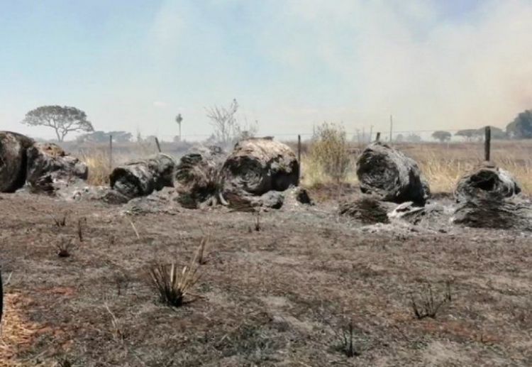Queman 150 hectáreas de soja en el Departamento de San Pedro