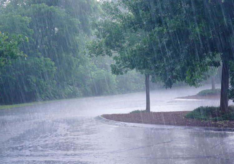 Meteorología anuncia lluvias y tormentas para miércoles y jueves, incluye Amambay