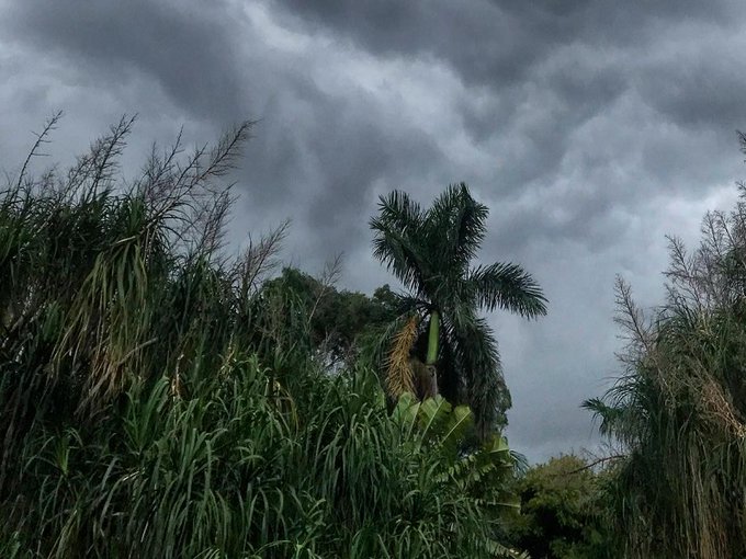 Lluvias dan una tregua desde hoy, pero vuelven el fin de semana