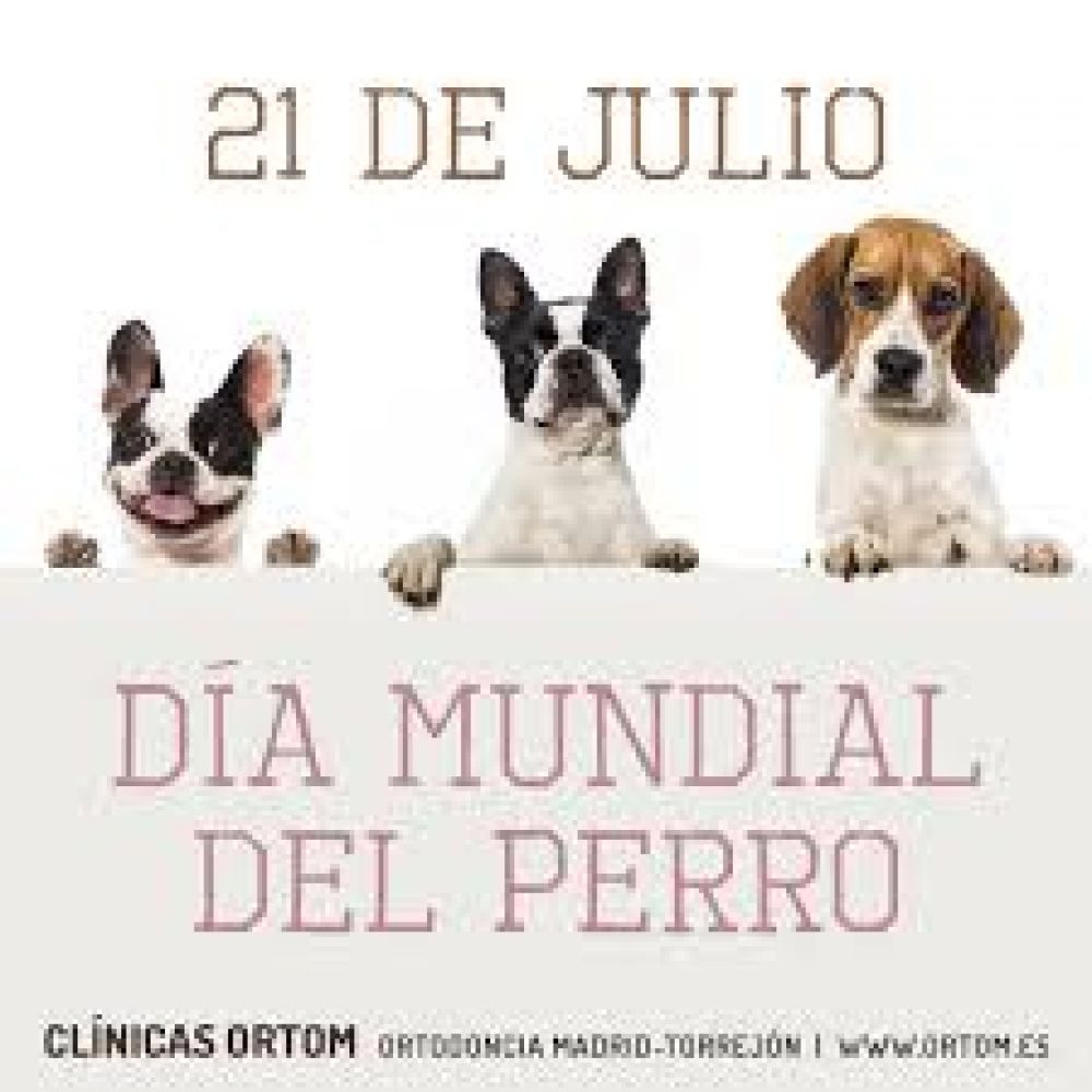 Es día de homenajear al fiel amigo del hombre: el perro
