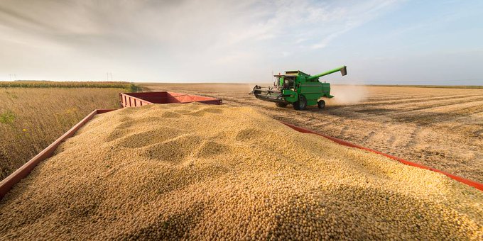 USDA mantiene previsión de la producción sojera de Paraguay en 10 millones de toneladas