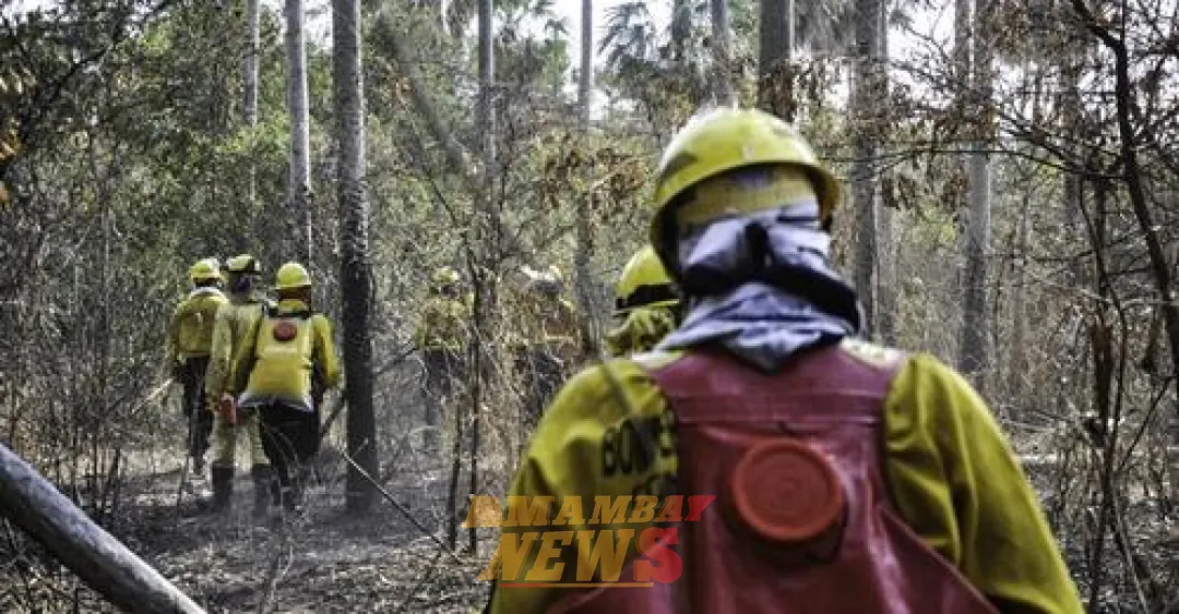 Incendios: Instan a empleadores a flexibilizar horarios de bomberos voluntarios