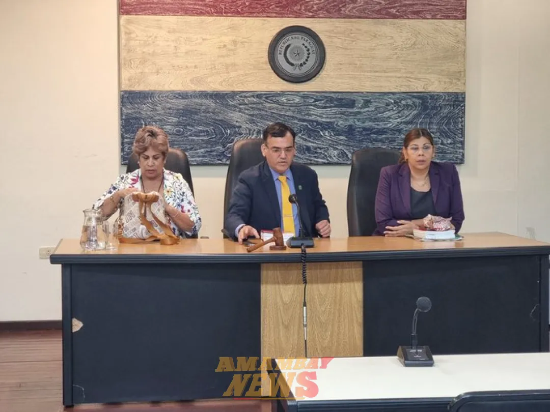 Caso Bower: vuelven a recusar a Tribunal de Sentencia y suspenden juicio oral