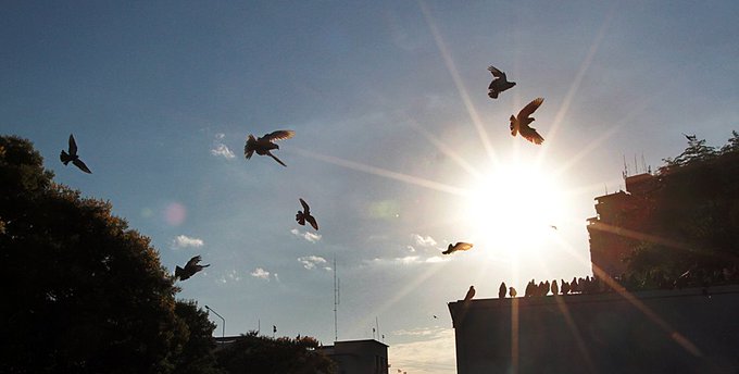 El Lunes Santo arranca con clima cálido a caluroso y vientos del sureste