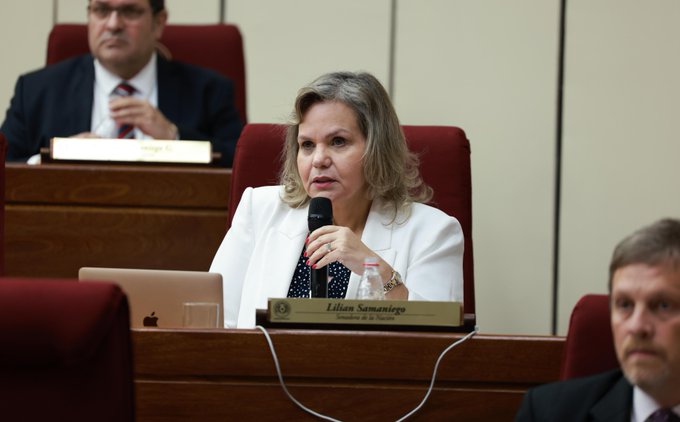 Senado rechaza veto del Ejecutivo a la ley que castiga los robos bagaterios
