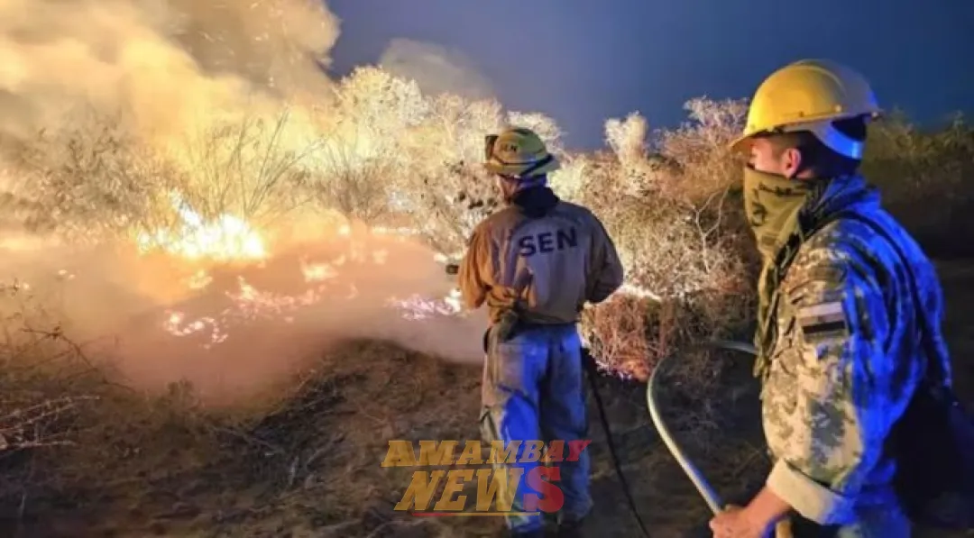 Chovoreca: MADES impuso multa multimillonaria a procesados por incendio en el Chaco