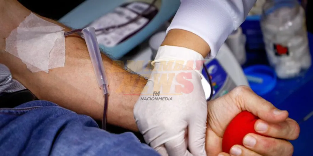 Paraguay, sede de los congresos iberoamericanos de medicina transfusional y de hematología