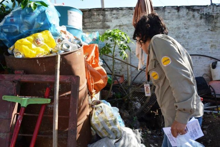 Senepa y municipios siguen la lucha contra el dengue