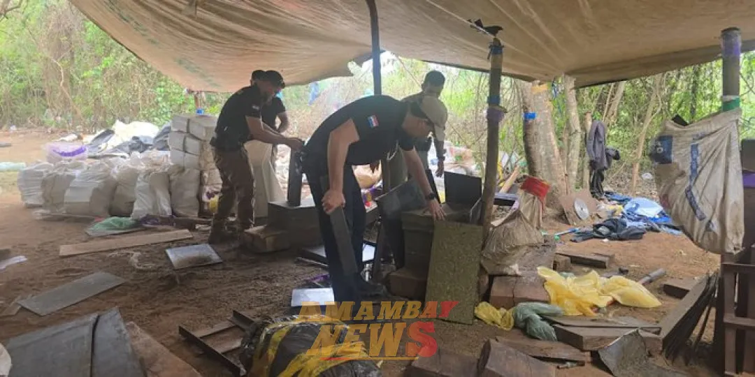 Anulado el mayor complejo narco de Canindeyú: hallaron 31 toneladas de marihuana