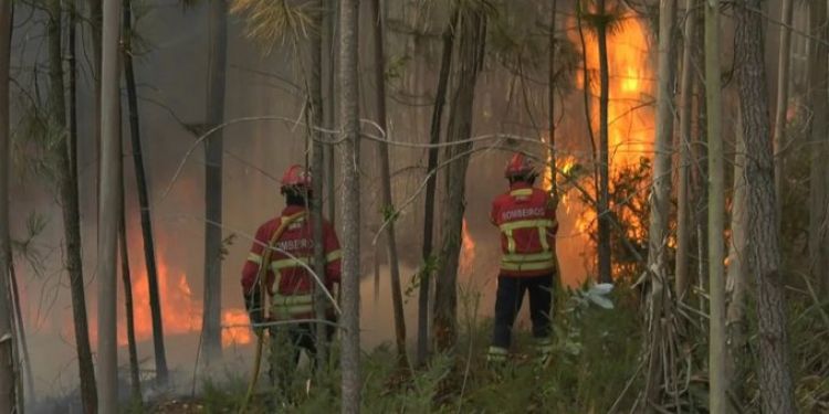 La OMS advirtió que la ola de calor causó “más de 1.700 muertes innecesarias” en España y Portugal